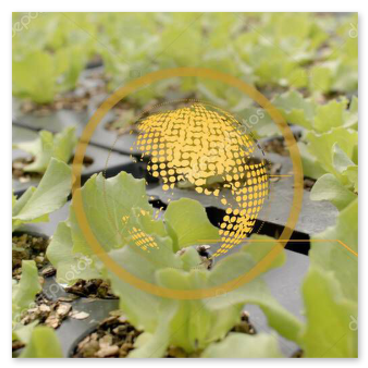 Seminiera con miscela terriccio e sabbia 0-3 mm