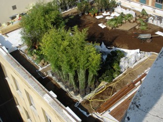 Tetto verde con lapillo