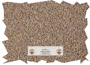 Lapillo Vulcanico 0-5 mm.